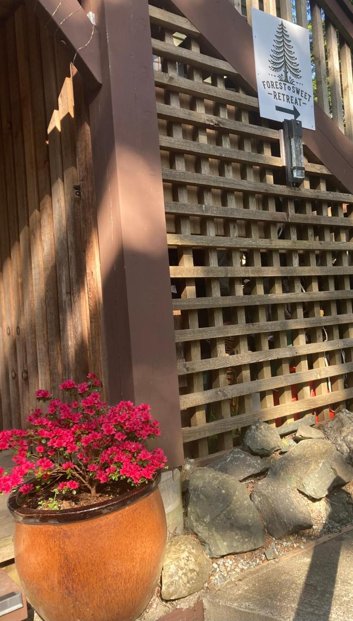 Forest Sweet Retreat Hot Tub & Wood Fired Sauna ยูคลูเลต ภายนอก รูปภาพ